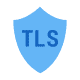 TLS Logo